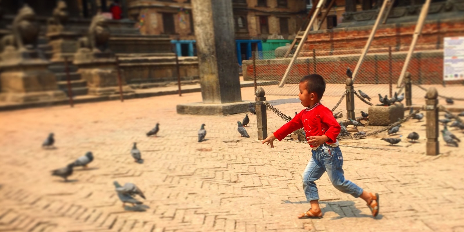 Boy and pigeon